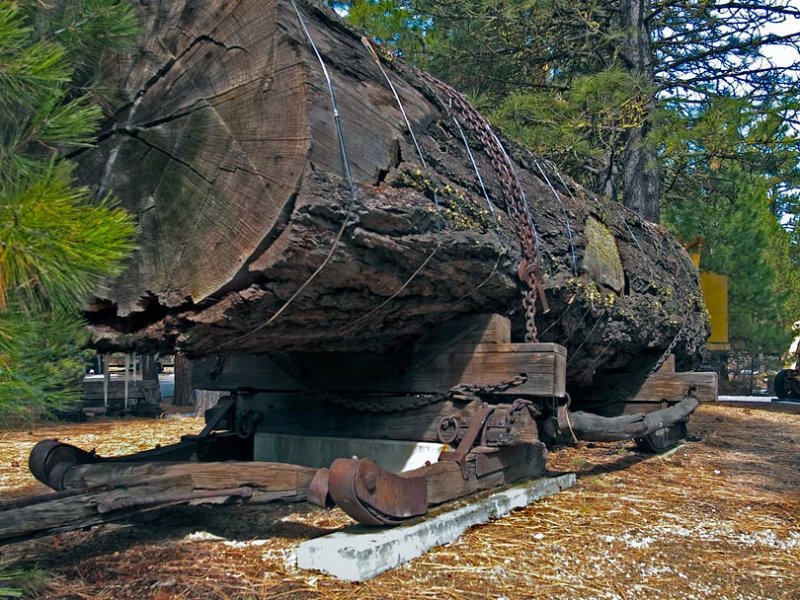 Log Skid