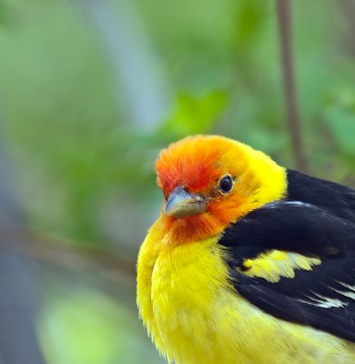 w profile_5216101.jpg