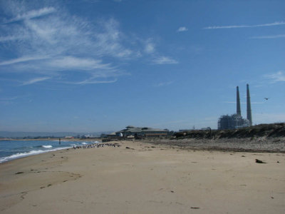 Monterey Bay aquarium research center, Moss Landing