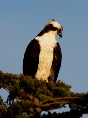 x6041477b.JPG