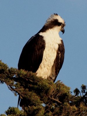 x6041488.JPG
