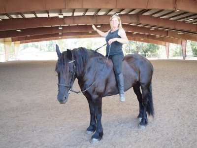Riding the Friesians