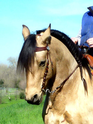 g3/79/201179/3/122741829.MNvzimSx.jpg