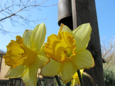 ws_2657.JPG