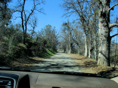 ws_2682.JPG