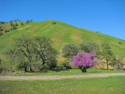 ws_2684.JPG