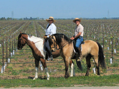 pair_2831.JPG