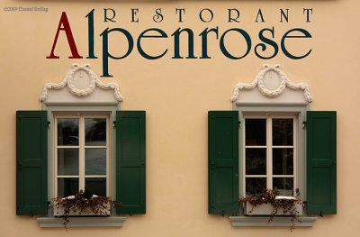 FensterSils_Alpenrose449