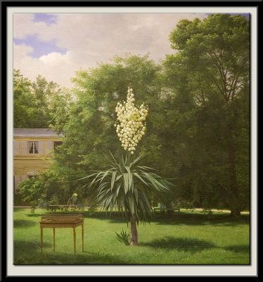 Le Yucca Gloriosa, 1844