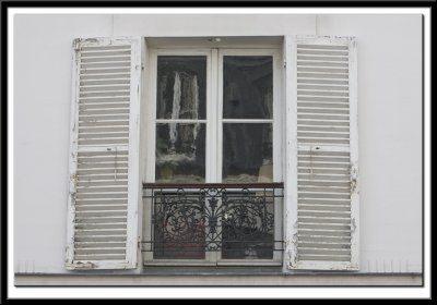 Window & Shutters