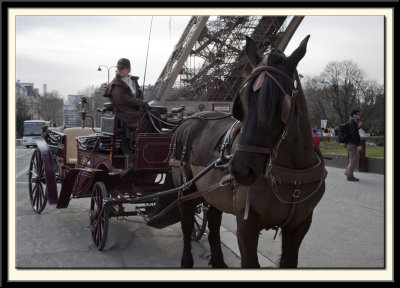 Paris, Horse and Carriage Ride