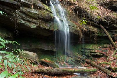 Laurel Creek Tributary 2