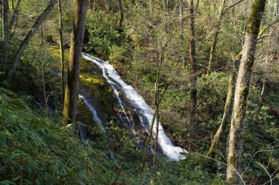 waterfall on tributary of Tanasee Creek 3