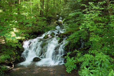 No Name Smokies Waterfall 4