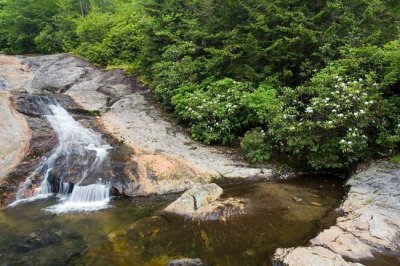 Bubbling Spring Branch Cascades 2