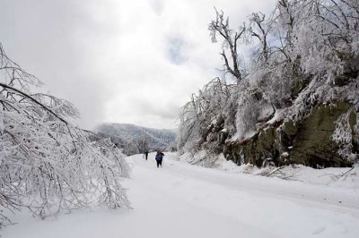 Blue Ridge Parkway Snow 3