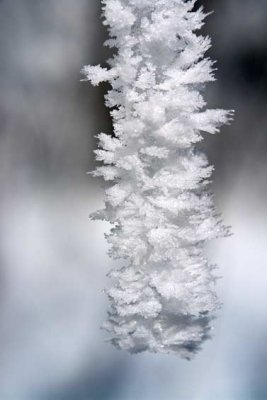 Blue Ridge Parkway Snow 5