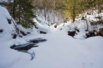 Upper Waterfall on Bubbling Spring Branch 1