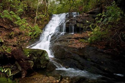 March 13 - waterfalls in Poplar Hollow, SC
