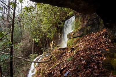 waterfall on Tributary of Wild Hog Creek 2