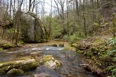 Chestnut Ridge Heritage Preserve 17