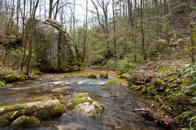 Chestnut Ridge Heritage Preserve 17