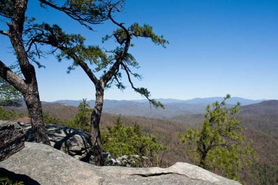 Rumbling Bald Mountain 9