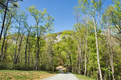 Rumbling Bald Mountain 14