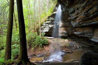 Moore Cove Falls 9