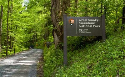 May 1 - Big Creek, Great Smoky Mountain National Park