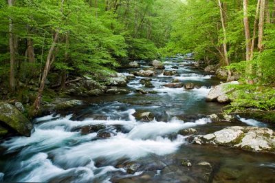 Big Creek - GSMNP 2