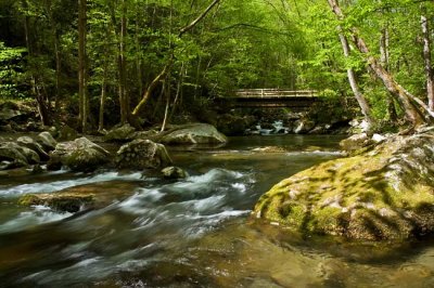 Big Creek - GSMNP 4