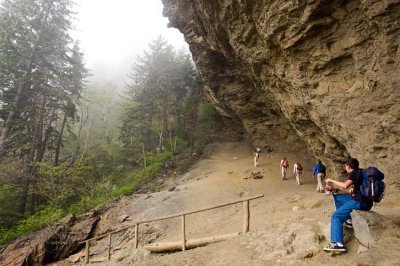 Alum Cave Trail 5