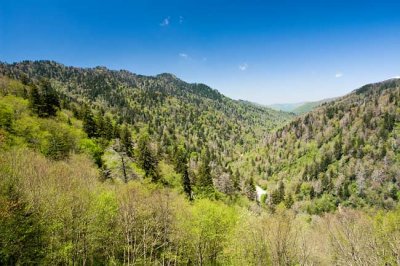 Newfound Gap Road View 1