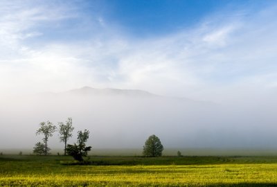 Cades Cove 19