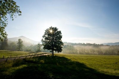 Cades Cove 21