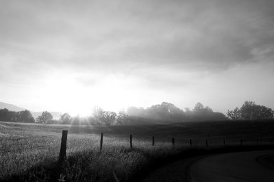 Early Morning in Cades Cove 1