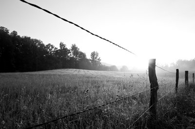 Early Morning in Cades Cove 2