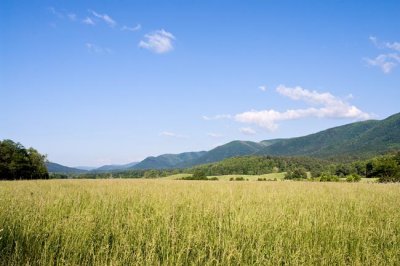 Cades Cove 33