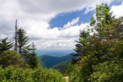 Waterrock Knob 1