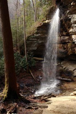 Moore Cove Falls