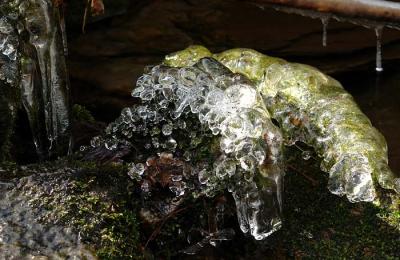 ice on moss