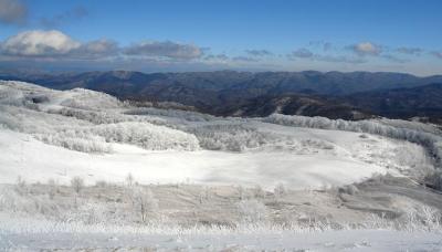 view from Max Patch Mountain 8