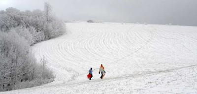 Sledders at Max Patch