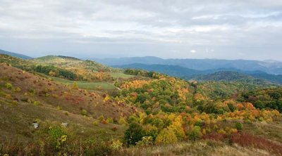 Max Patch 3