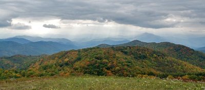 Max Patch 4