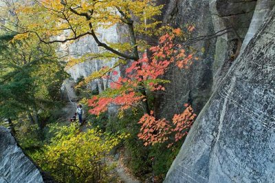 View from Cliff Trail 3