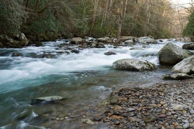 March 21 - Big Creek, Smoky Mountains