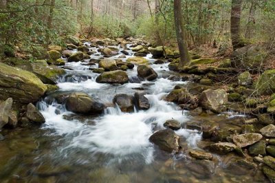 Middle Saluda River 1