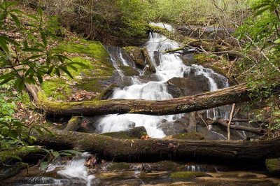 Moody Creek 5